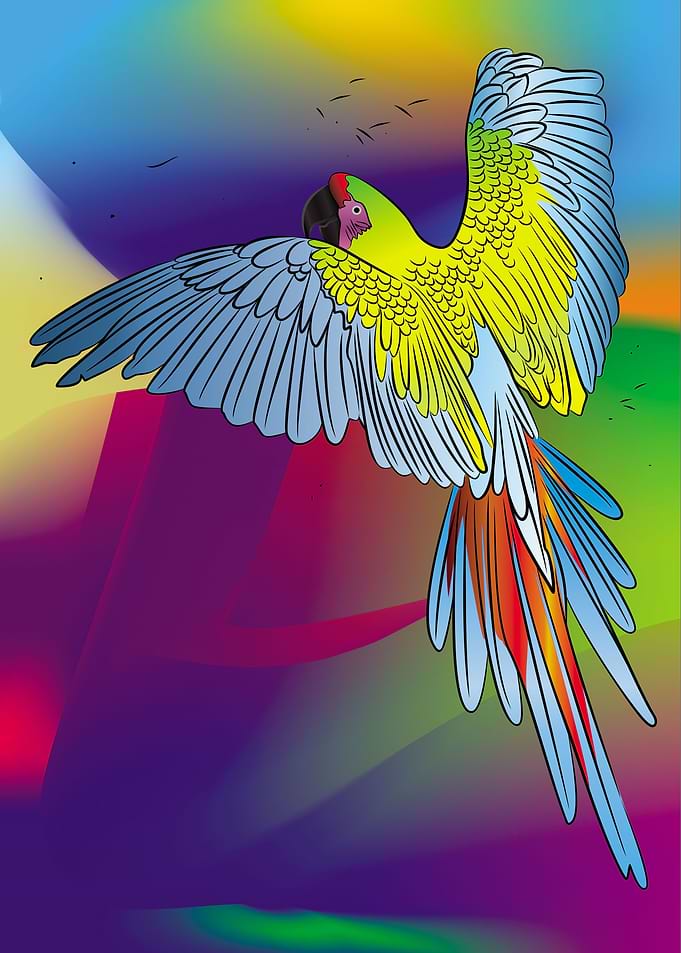 Wild Macaw 04