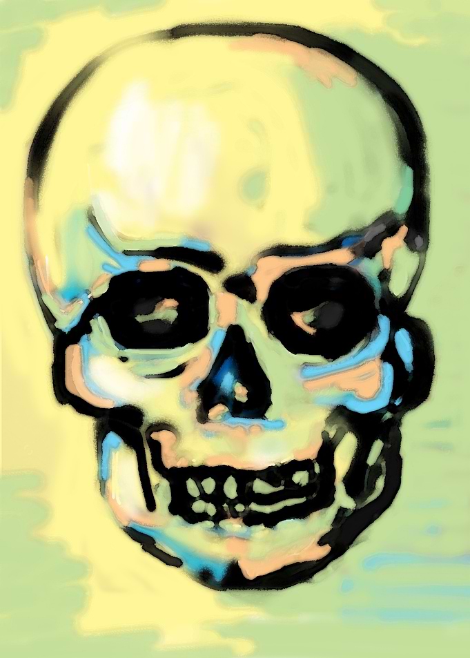 artistic skull