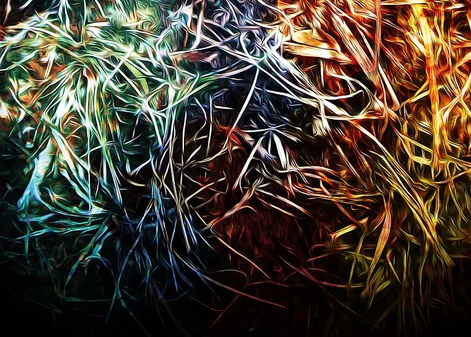 Grass