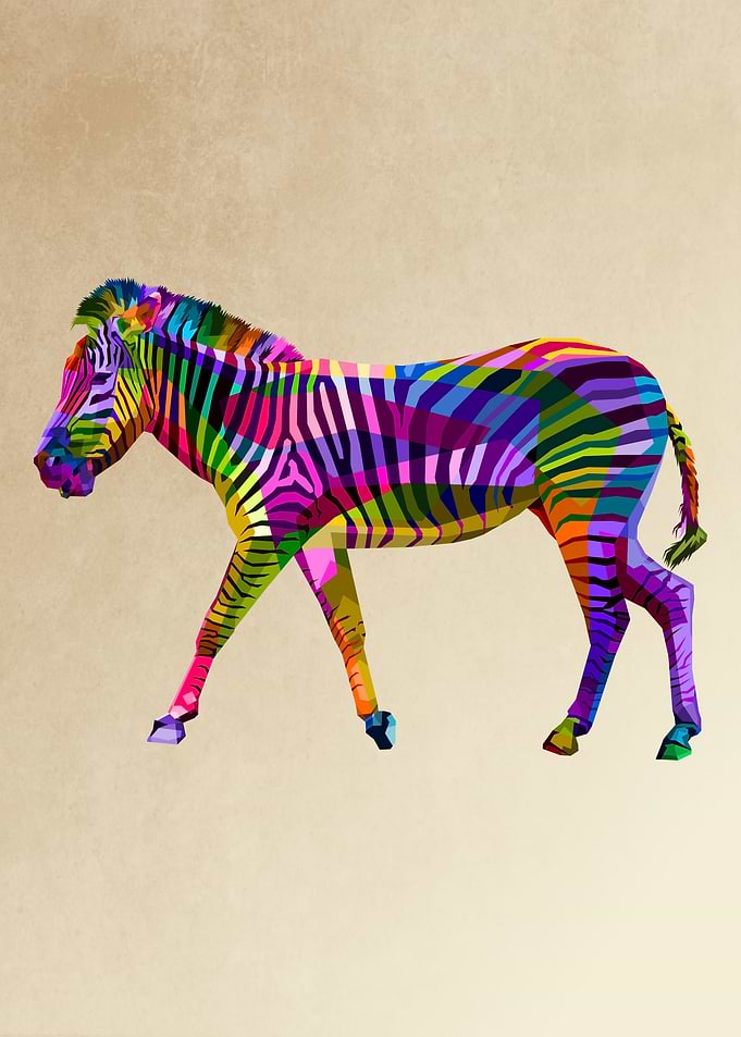 colorful zebra