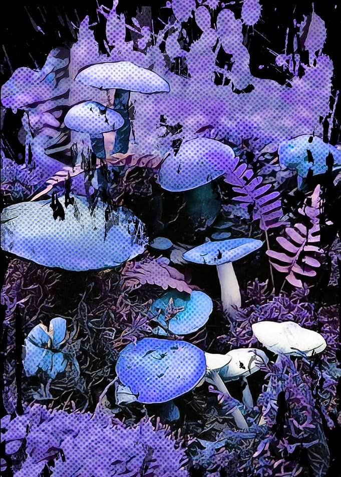 MUSHROOMS