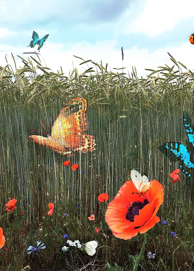 On the meadow