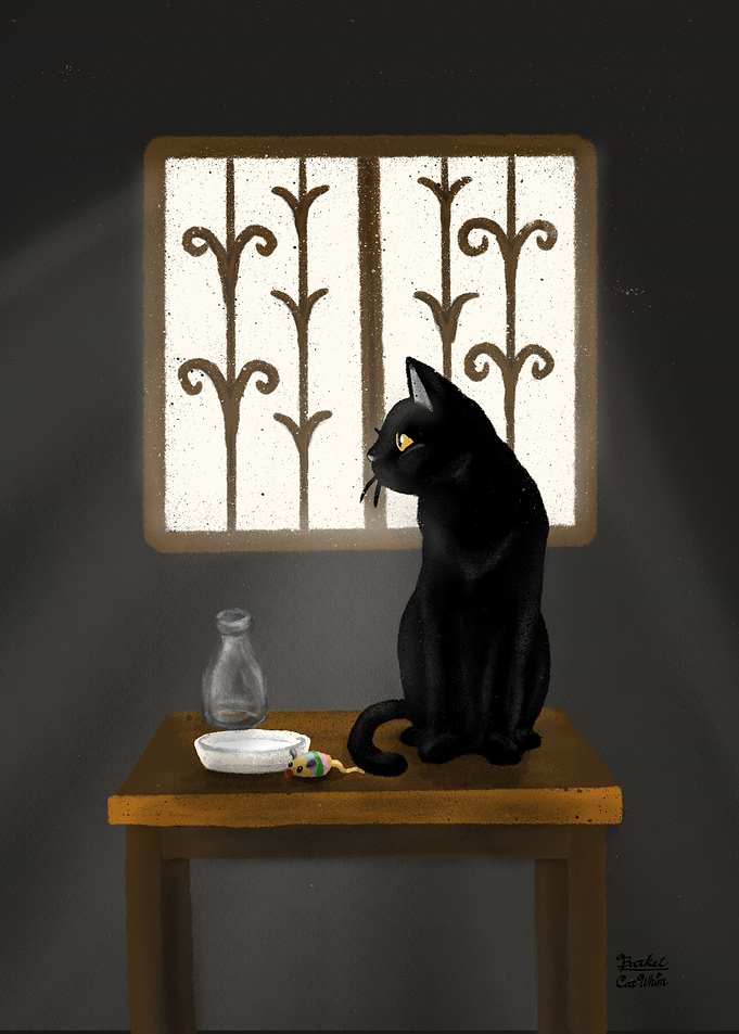 Window light