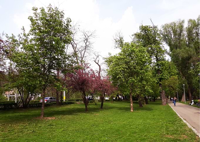 Park silence