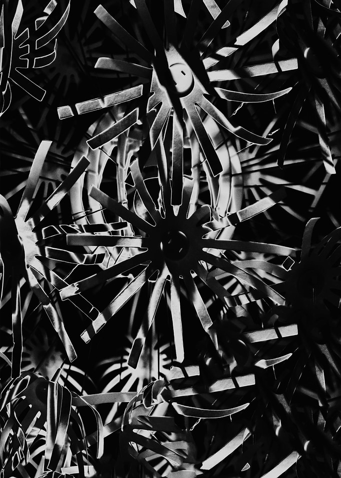 Spider House