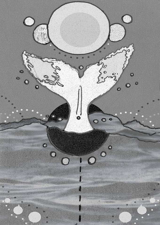 White Whale
