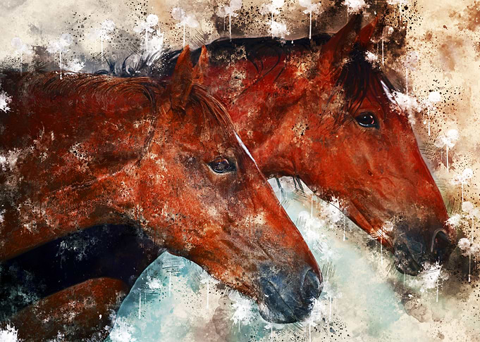 Horses