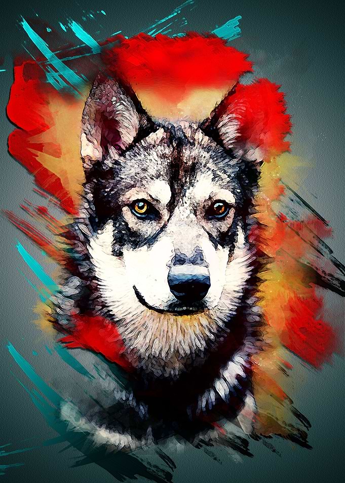 Husky portrait