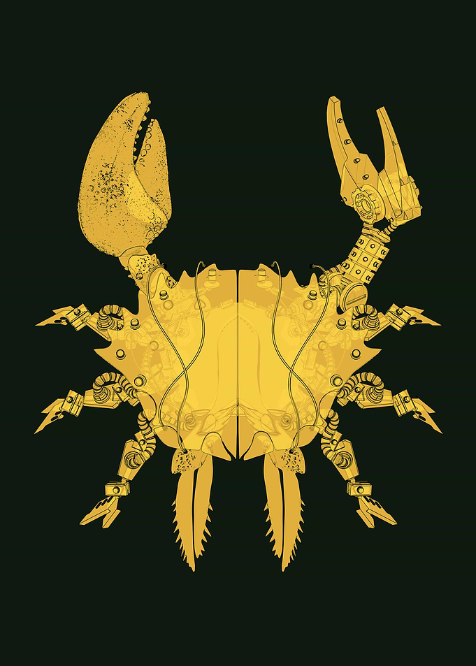 CYBER CRAB
