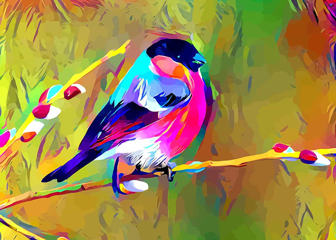 Grey Bird