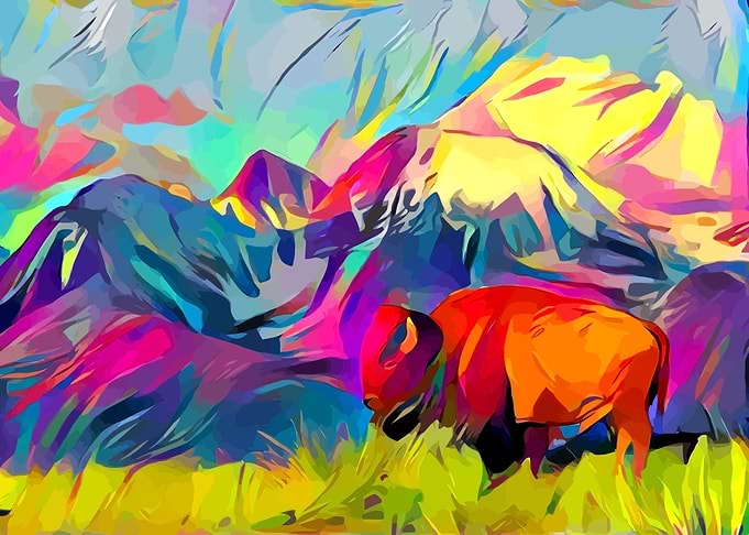 Bison