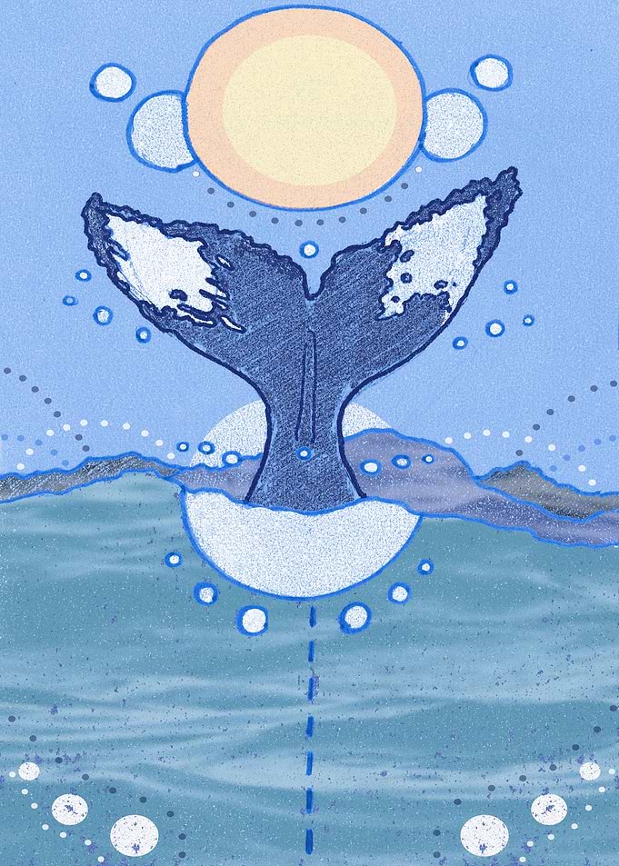Blue Whale