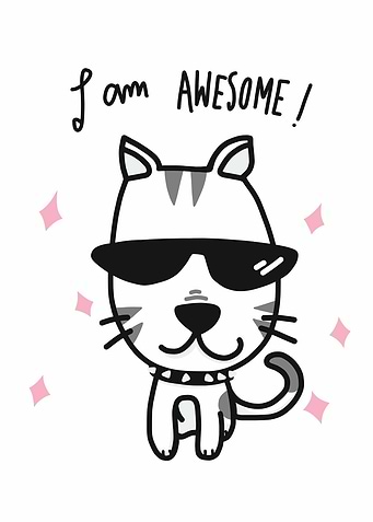 I am awesome cat cartoon