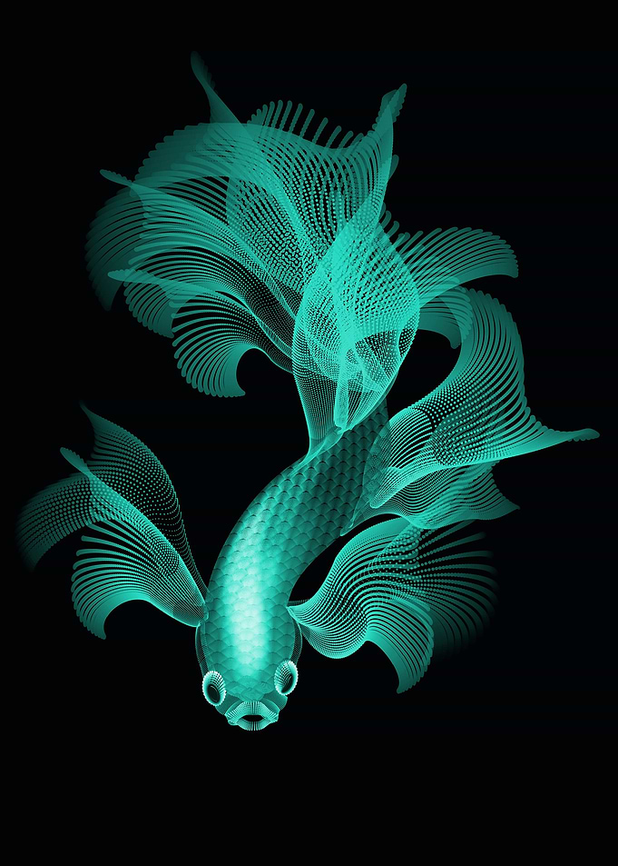 fighter fish in aqua color