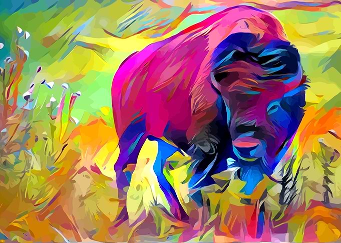 Bison