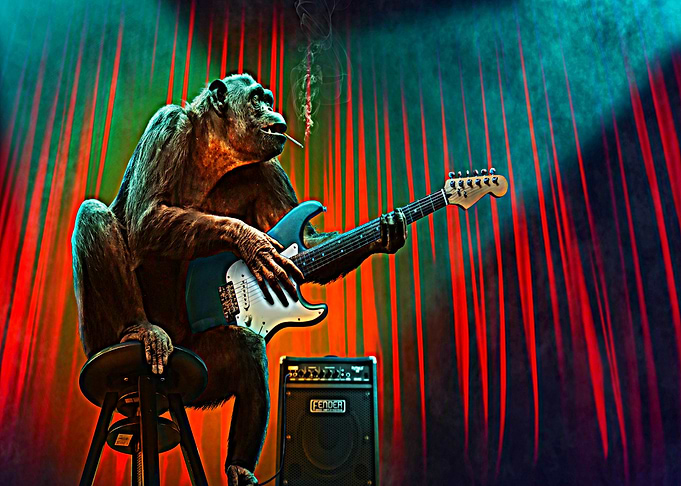 monkey guitar stage