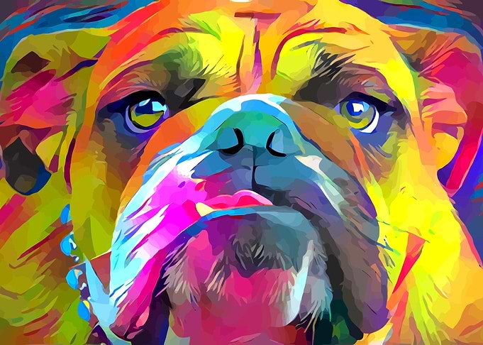 Bulldog