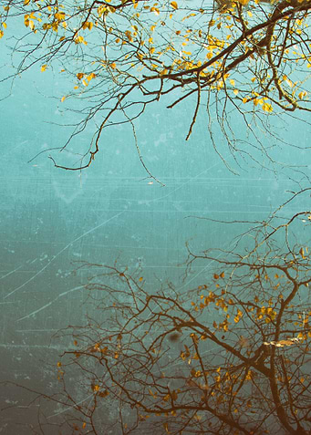 The mirrored tree