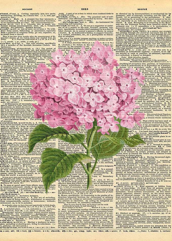 Pink Flower on Dictionary