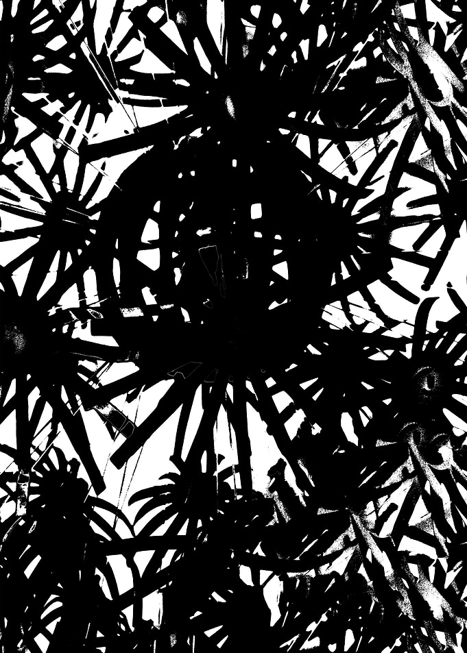 Spiders House