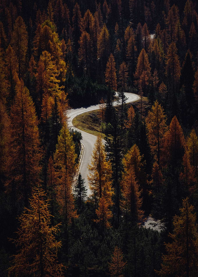 Road Landscapes Photo