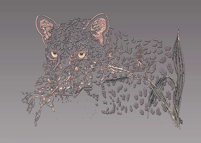 Leopard and Orchid