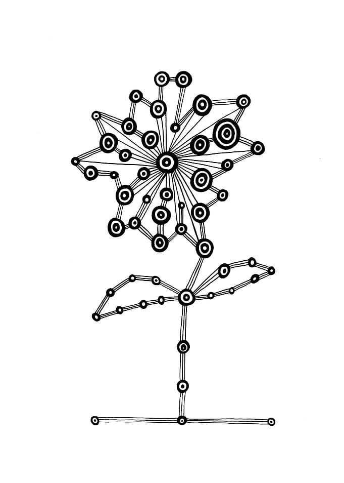 Bullseye Flower