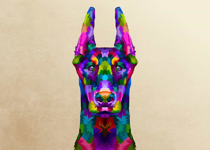 colorful doberman face