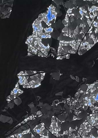 BluePaintContemporaryArt1