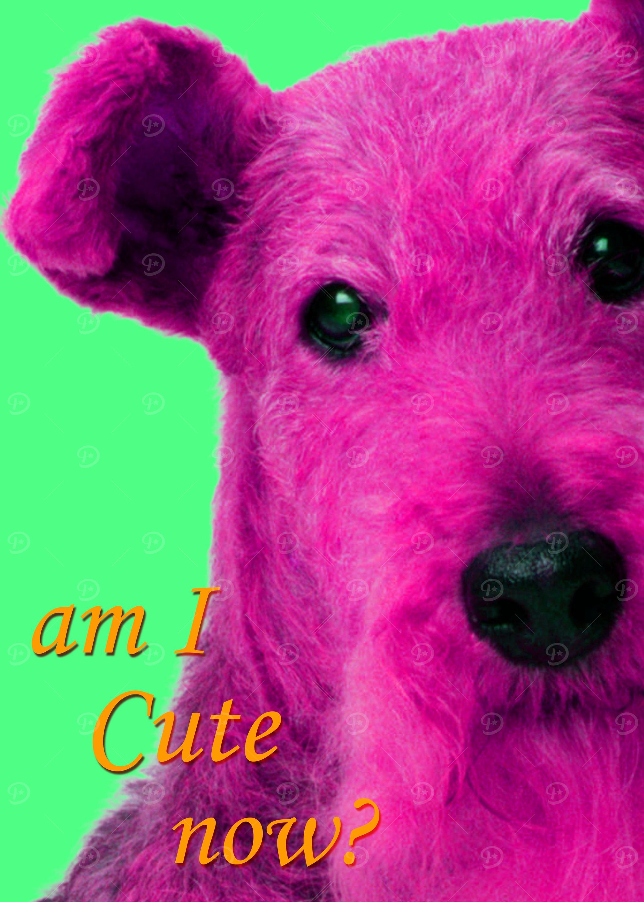 Am I cute now