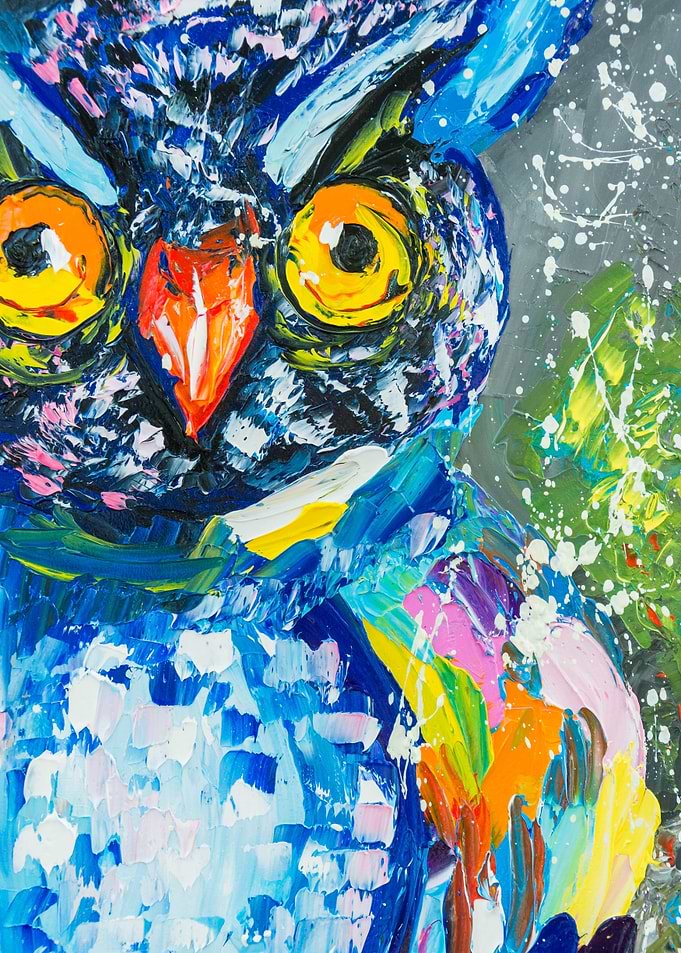 Owl