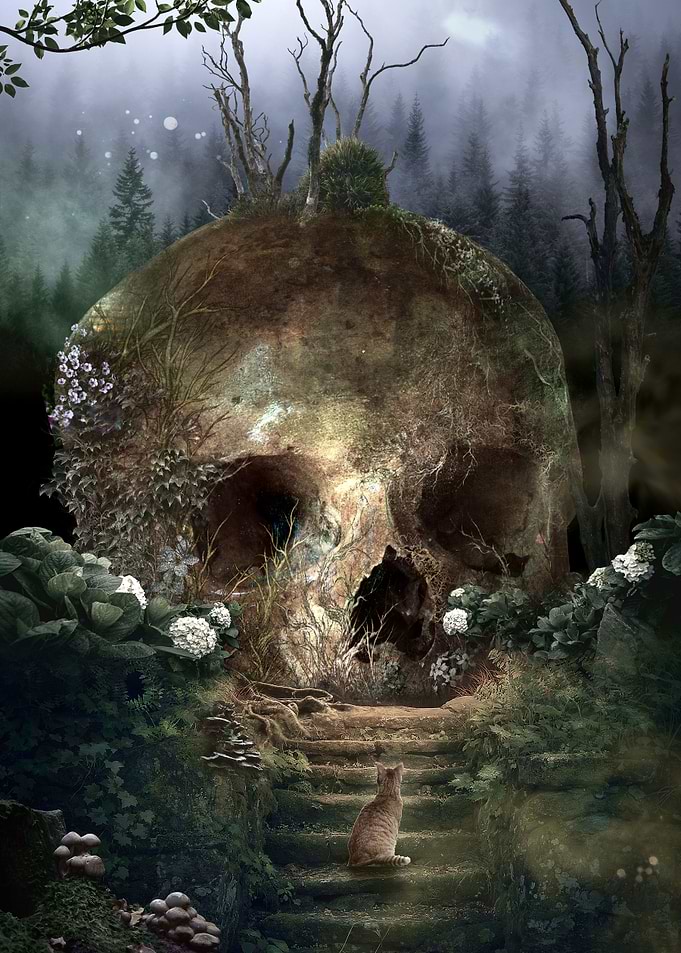Curiosity Garden