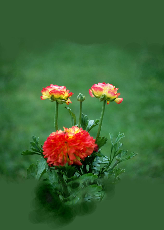 Art of nature