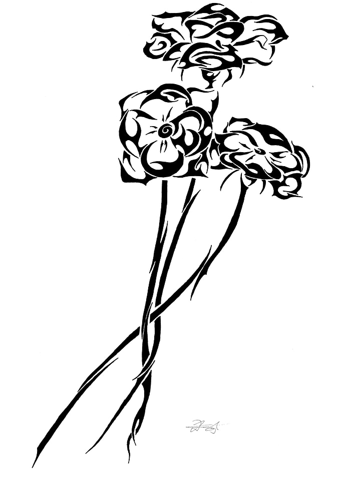 Tribal Poppies