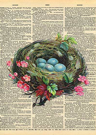 Bird Nest on Dictionary Pa
