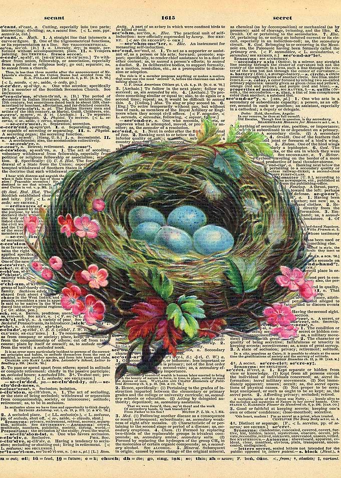 Bird Nest on Dictionary Pa