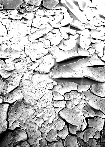 Quakscape072011