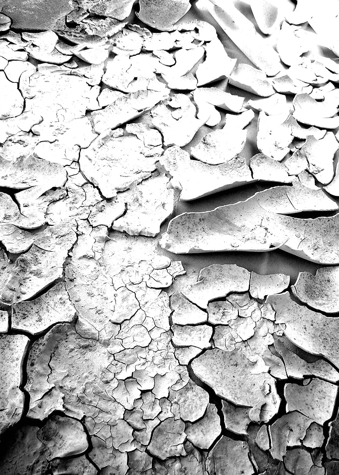 Quakscape072011