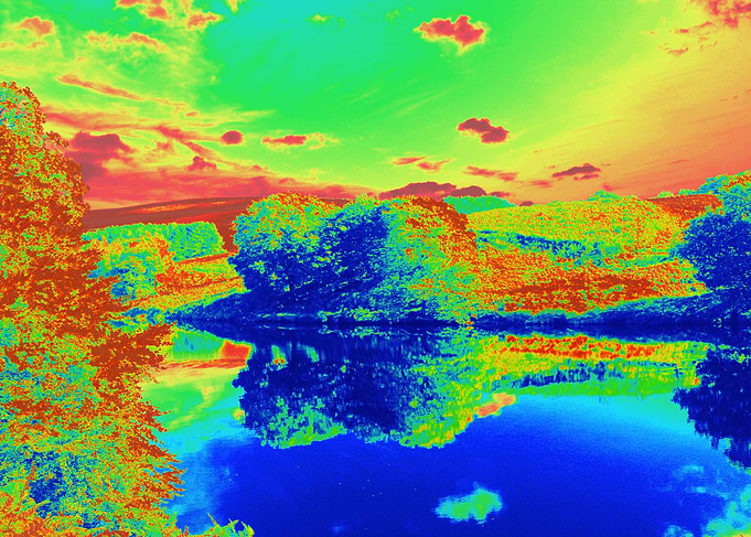 Vibrant trees, Carsington