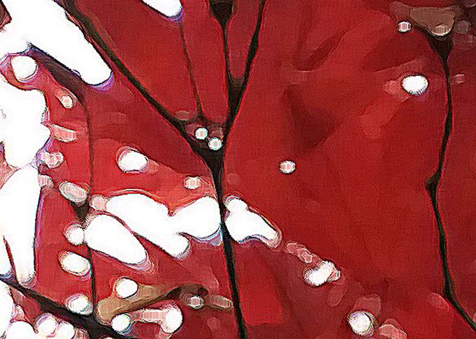 Red Paint Beautiful Natur1