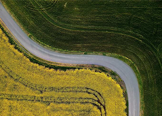 Road Landscapes Photo
