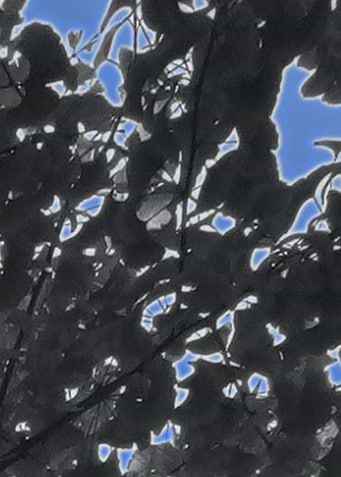 BluePaintContemporaryArt2