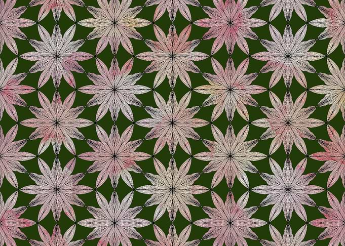Pink floral