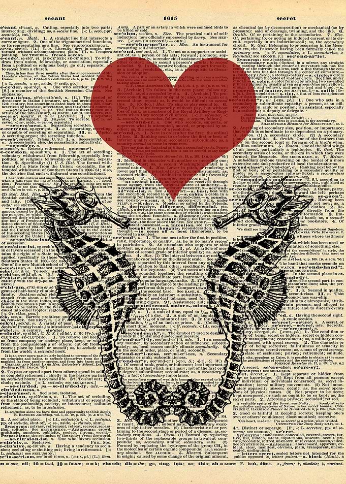 Seahorses in Love on Dicti
