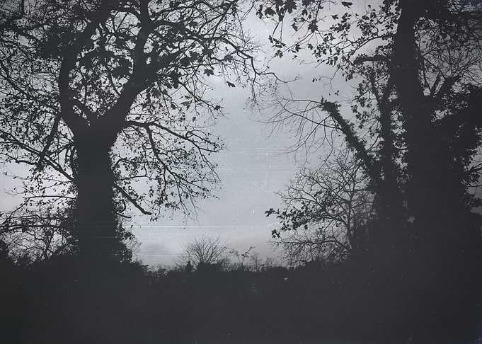 Silhouettes in winter