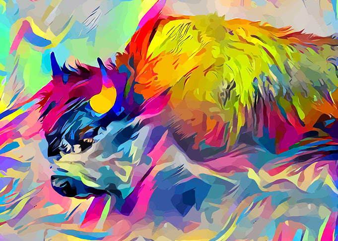 Bison