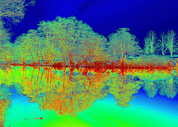 Tree reflections