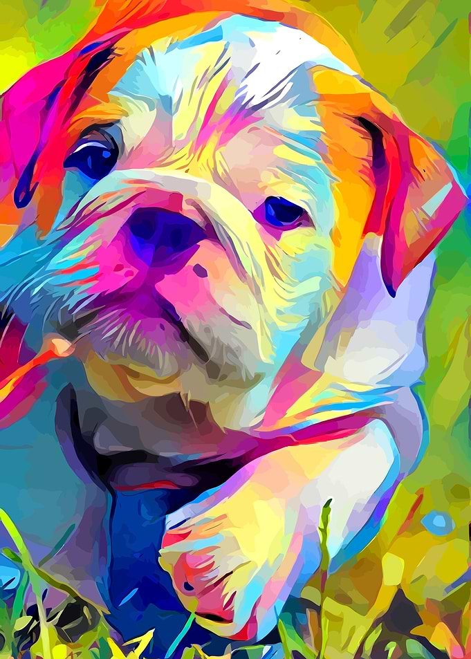 Bulldog