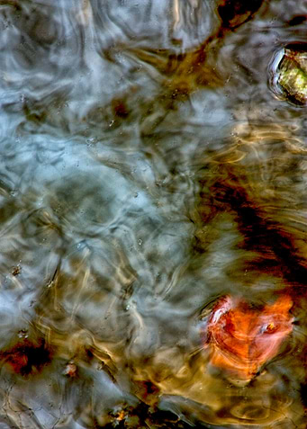 Water reflections