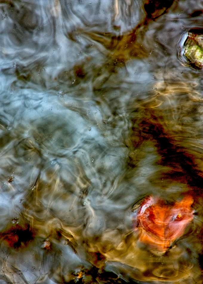 Water reflections